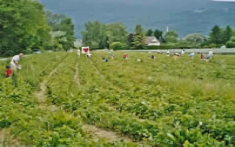 Espagne : Un cas réussi d'immigration choisie