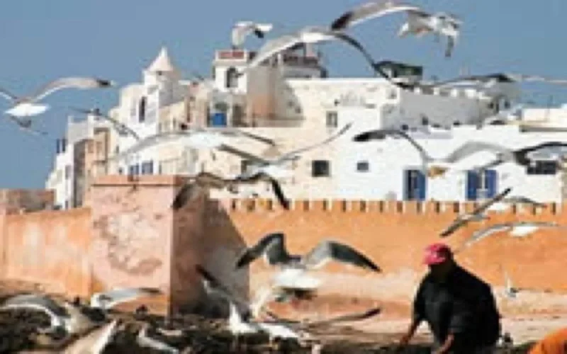 Le New York Times choisit Essaouira parmi les 53 destinations à visiter en 2008
