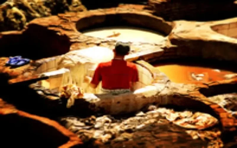 Fès séduit les investisseurs étrangers