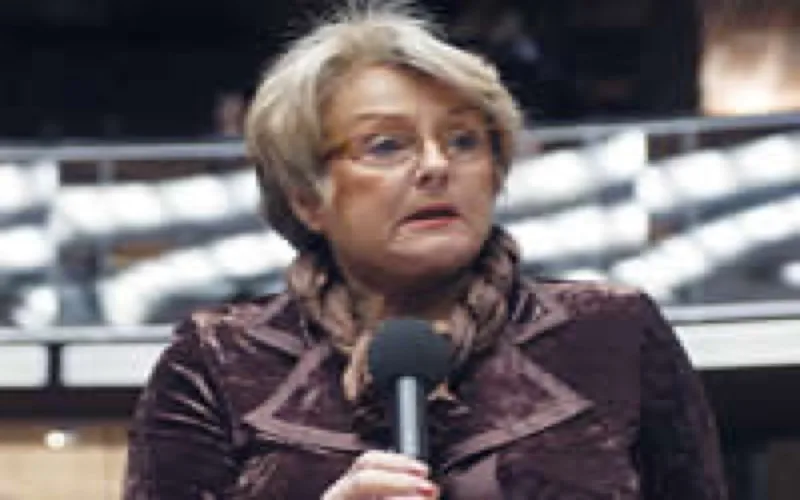 Le CE propose au Maroc le statut de membre observateur