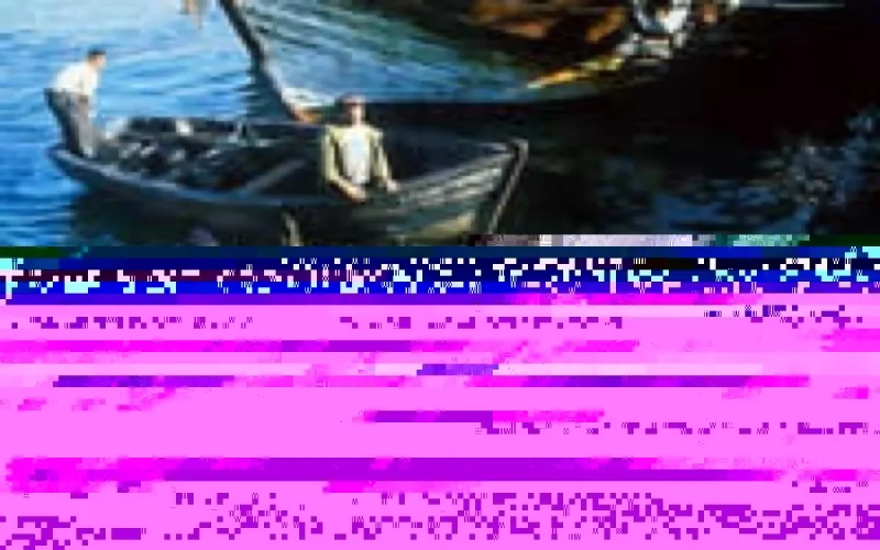 260 millions d'euros pour moderniser le secteur de la pêche