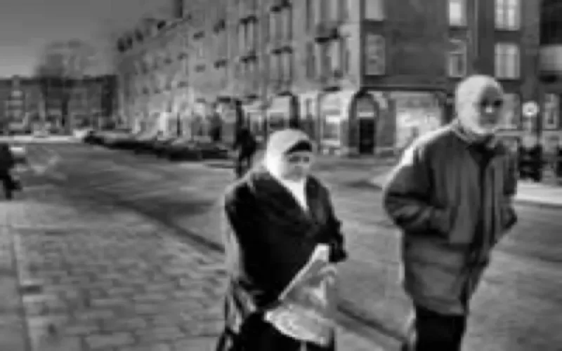 Conseil de la communauté marocaine à l'étranger, la vision des sages MRE