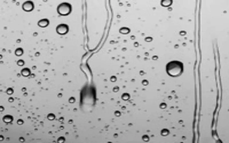 Pluies artificielles : Cinq sénégalais pour ouvrir les vannes