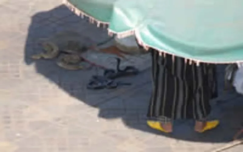 Un parfum de Maroc plane sur le château de Saint-Victor-sur-Loire