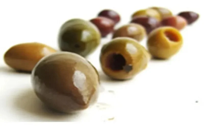 Des projets d'investissements pour plus de 8 milliards de DH