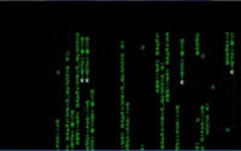 La tribu des hackers marocains