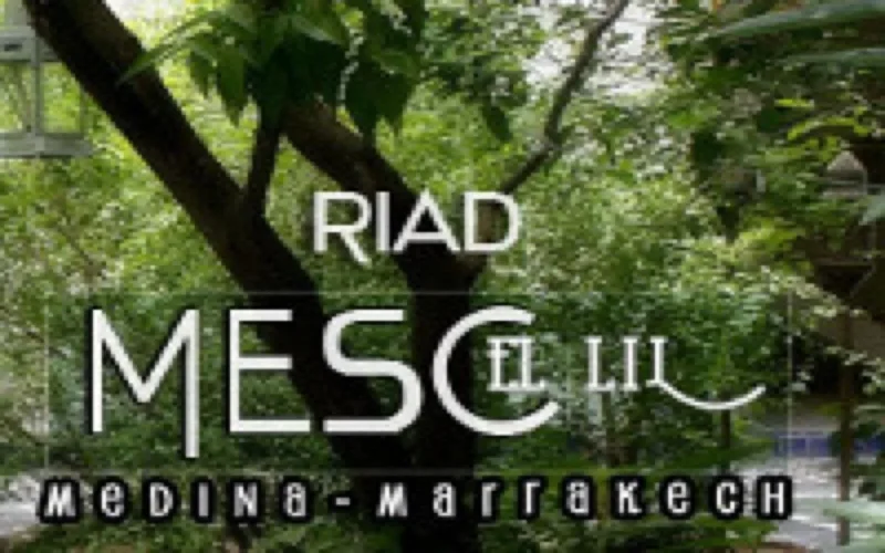 Riad Mesc el Lil