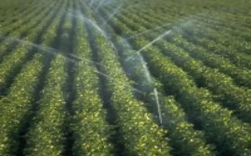 1,85 milliards de dirhams pour un pôle agro-industriel à Berkane