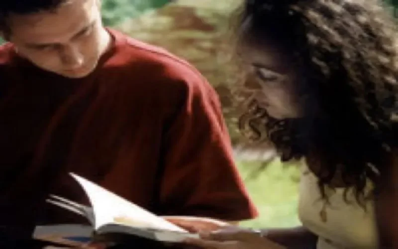 44% de réussite au bac 2008