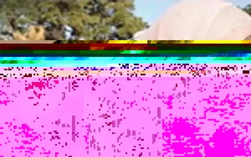 Participation marocaine à la 3ème édition du festival du film de Palerme 