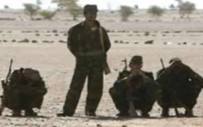 Message d'ONG sahraouies dénonçant les méthodes tortionnaires du polisario