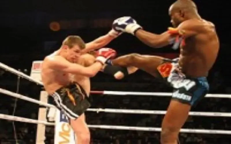 Le Maroc remporte le 5ème championnat arabe de kick boxing