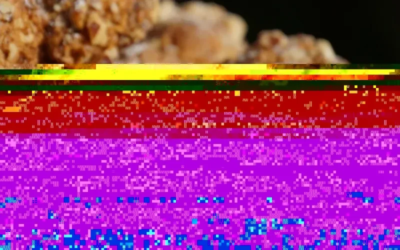 Bouchées aux noisettes