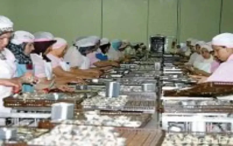 L'avenir de Douarnenez passe par le Maroc