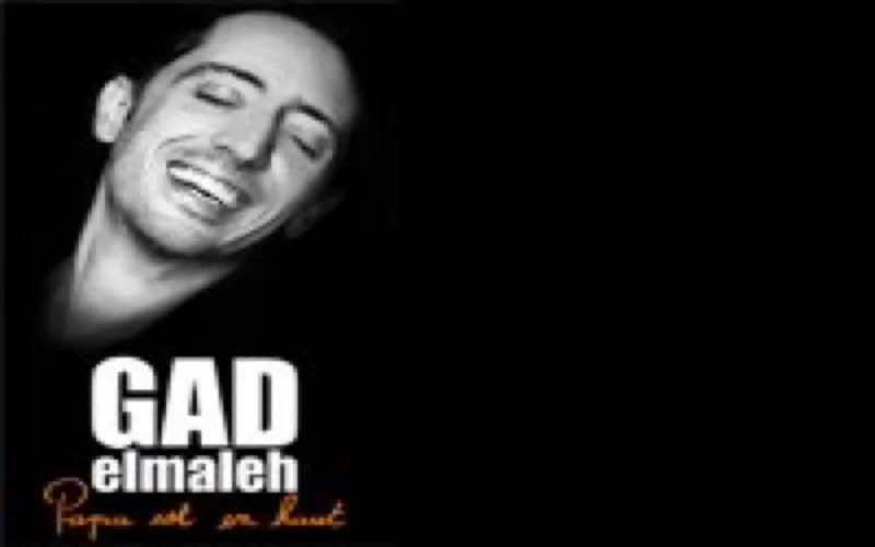 Gad Elmaleh cambriolé