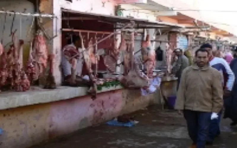 La prison ferme pour avoir vendu de la viande de chien