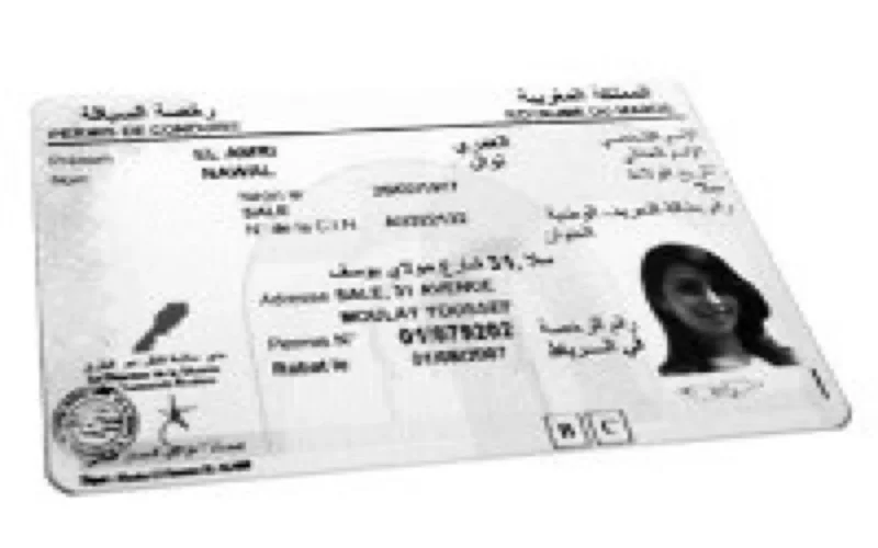 Permis de conduire électroniques : circulez, vous êtes fichés !