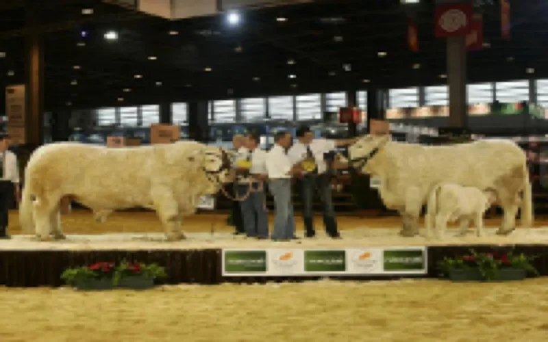 Le Maroc au Salon de l'Agriculture de Paris