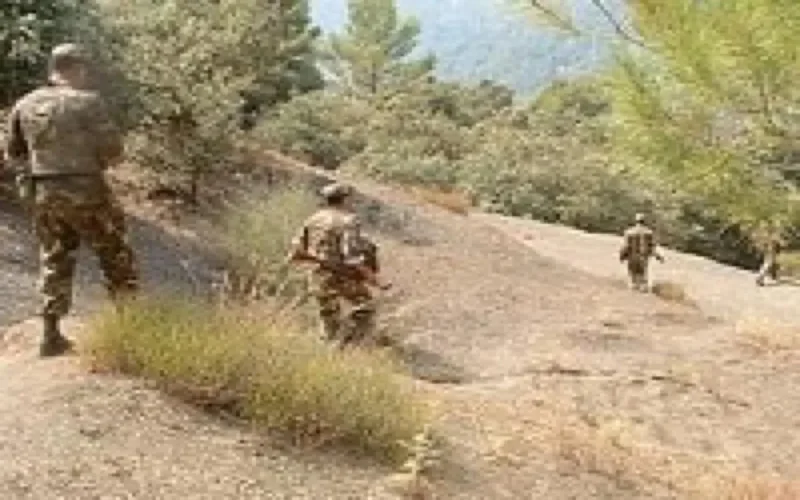 Algérie : 10 ans de prison pour le Marocain Akil Chraibi 