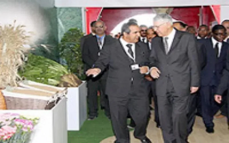 Le Maroc investit 12 milliards de dirhams dans l'agriculture