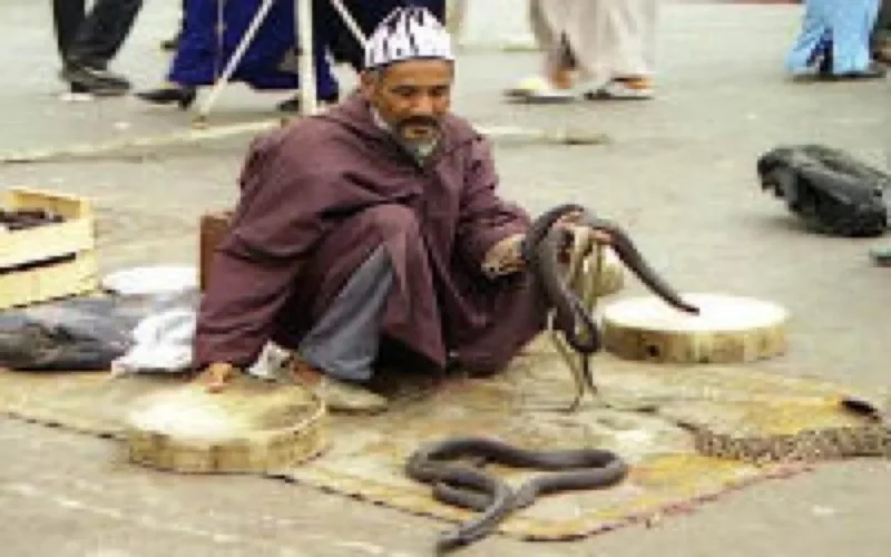 Déambulations dans les dédales de Marrakech