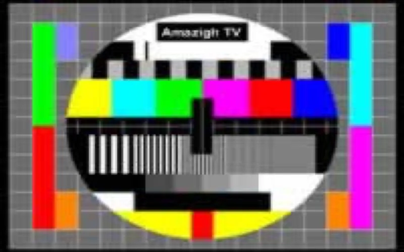 Télévision : la chaîne amazighe pour fin 2009 ?