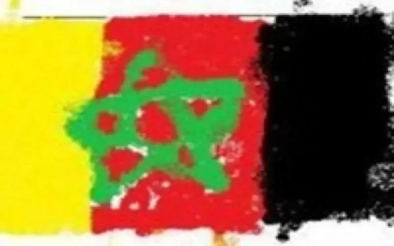 Belgique - naturalisations : 22% de demandes sont marocaines