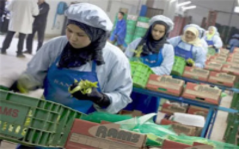 Espagne : les Marocains 1er affiliés à la sécurité sociale