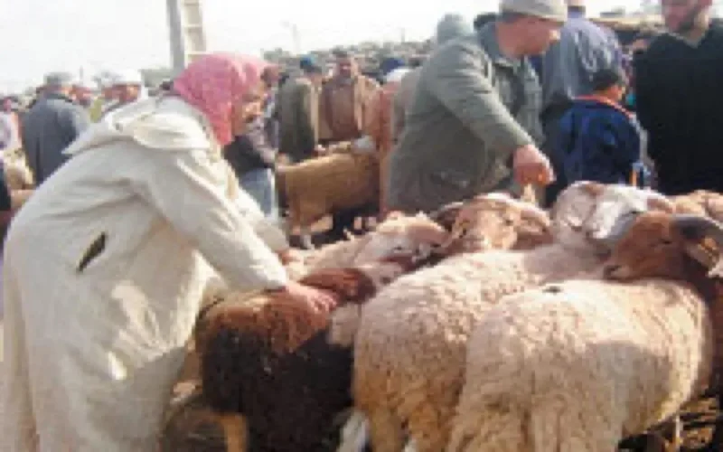 Aid el Kébir devient férié à Melilla