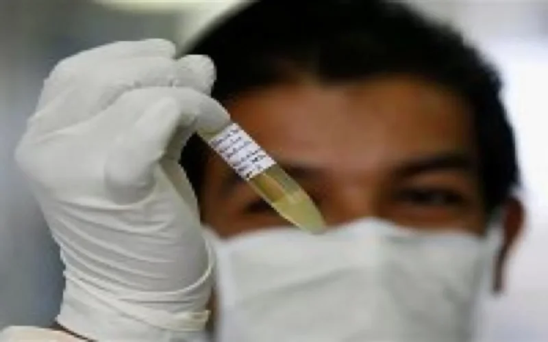 133 cas de grippe porcine décelés en deux jours au Maroc