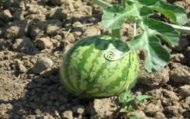 Belgique : 80 millions d'euros d'aides au Maroc