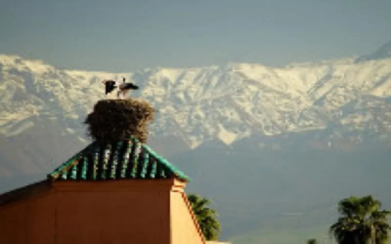 Le Maroc fait sa promo en Grande Bretagne