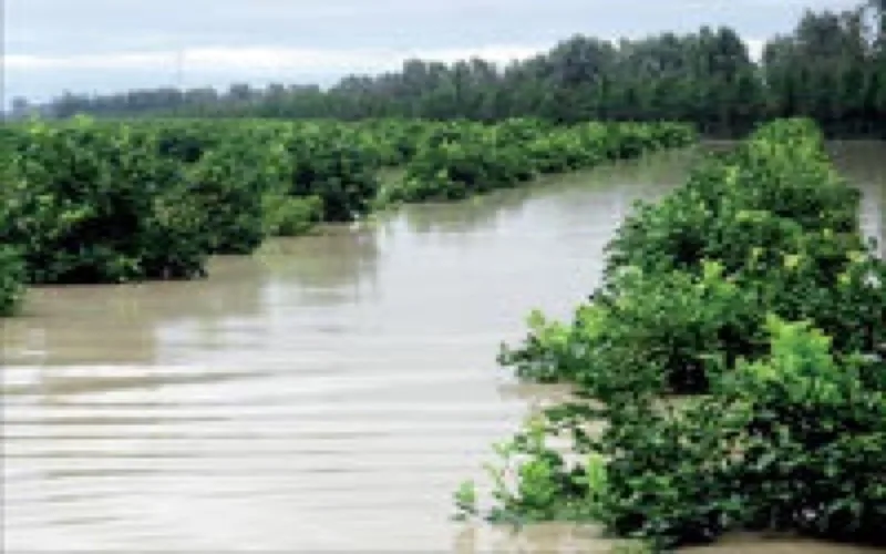 4,6% de croissance économique au Maroc au 1er trimestre 2010