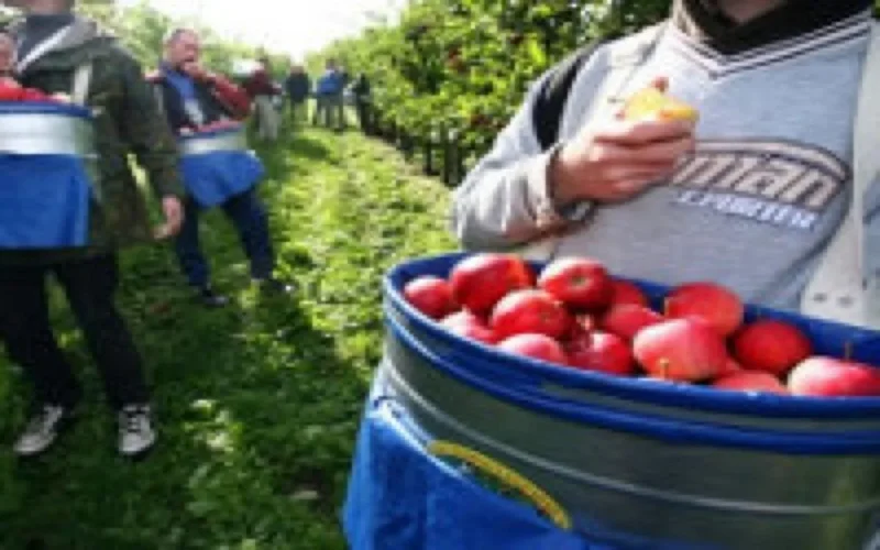L'État français condamné dans l'affaire d'un saisonnier marocain