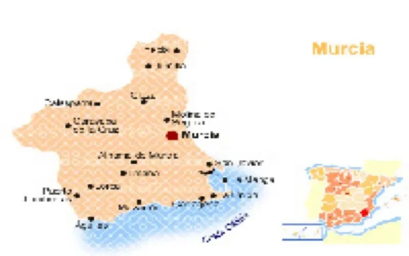 Journées économiques et culturelles Maroc-Murcie