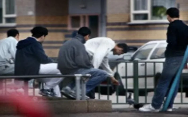 La plateforme marocaine d'Hertogenbosch privée de subventions