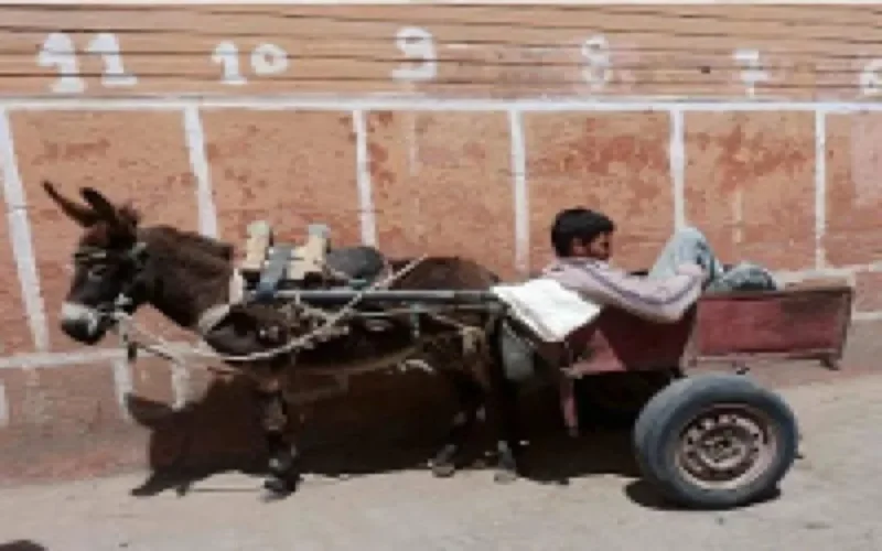 Le Maroc , 67ème "meilleur pays" au monde