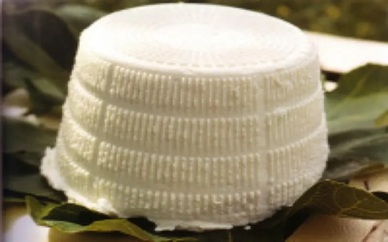 "Ajban Dakhla", le fromage de chamelle made in Dakhla