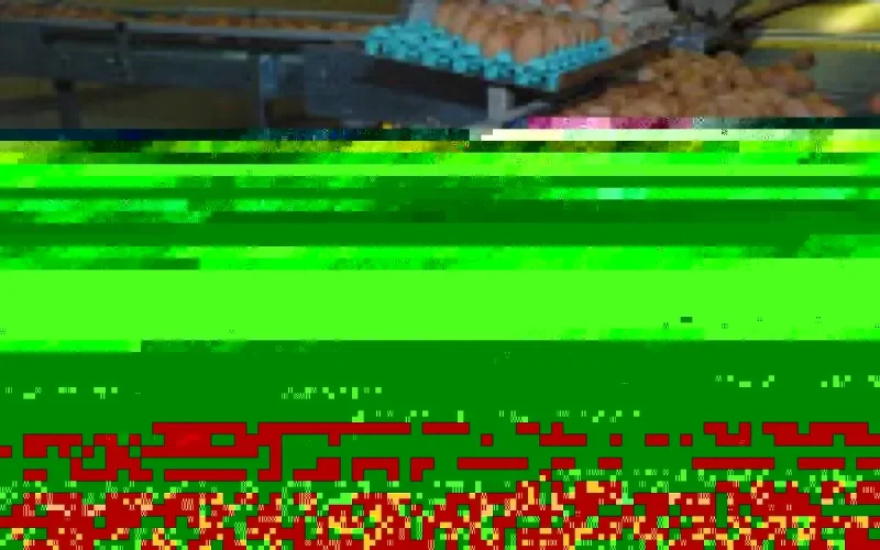 Dawajine 2010 du 26 au 28 octobre à Casablanca