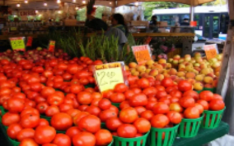 Les Européens boycottent la tomate marocaine