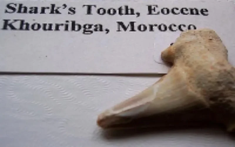 Le Roi Mohammed VI voudrait transformer Khouribga en Dubaï