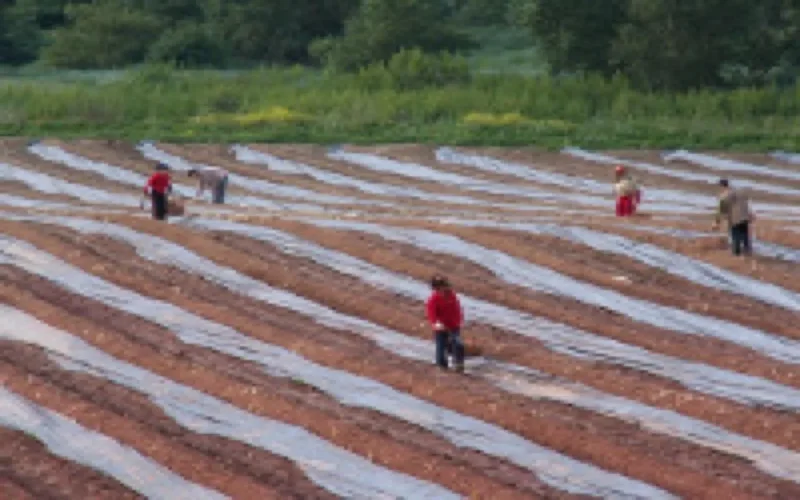 L'UE accorde 70 millions d'euros à l'agriculture solidaire au Maroc