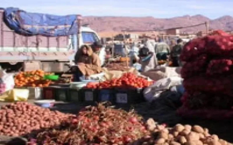 Baisse du prix des fruits et légumes de 11%