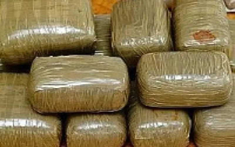 Vingt kilos de chira saisis à Bab Sebta