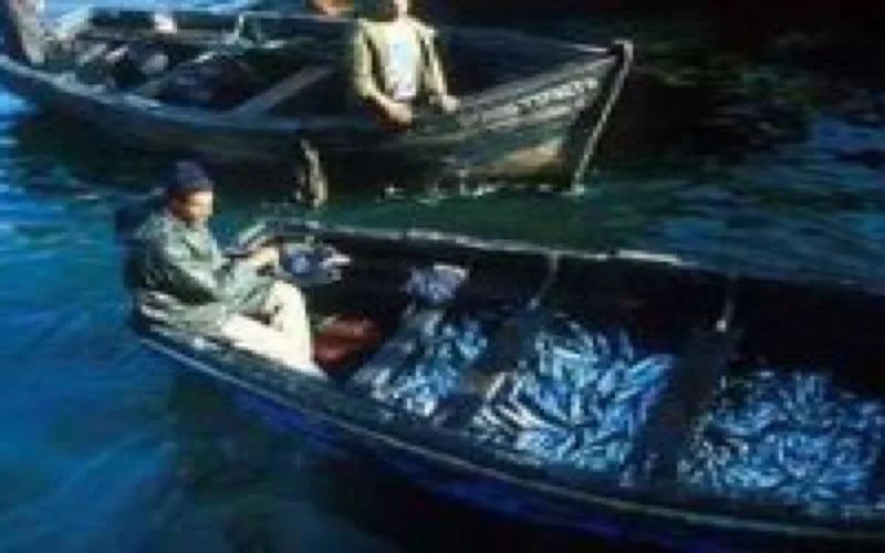 L'économie marocaine affiche une croissance de 3% en 2010