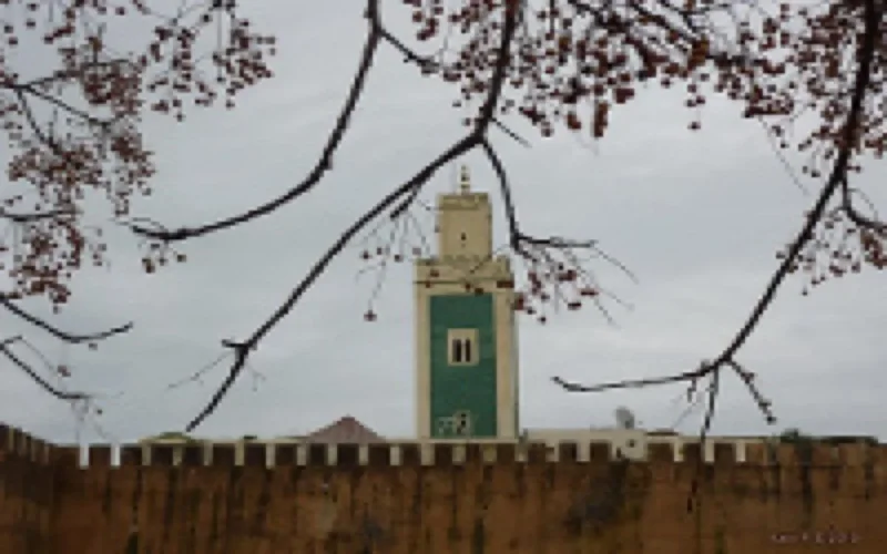 Alami Tazi décédé samedi à Toulouse