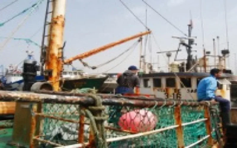 L'accord de pêche Maroc-UE reconduit pour 4 ans