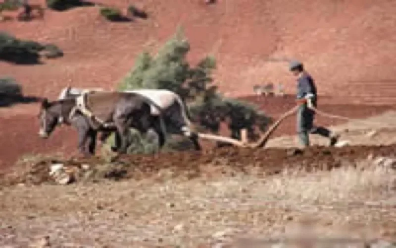 Les Américains investissent le monde rural