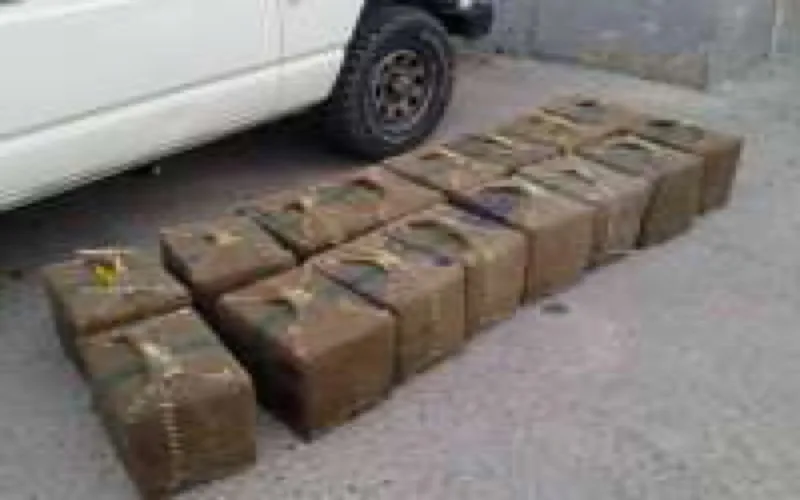 Port Tanger Med : saisie de 115 kg de chira