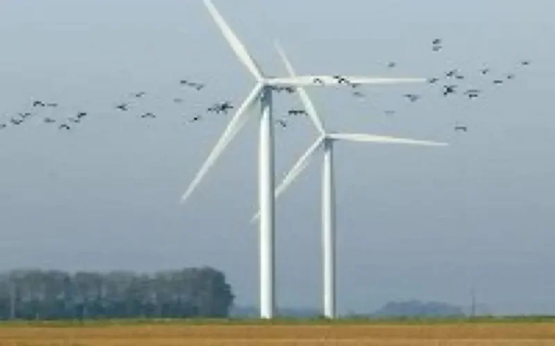 Theolia et l'ONE développent un parc éolien au Maroc 